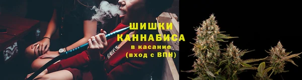 стафф Надым