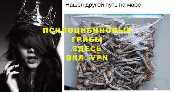 стафф Надым