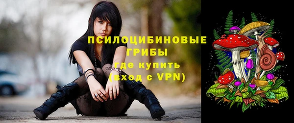 стафф Надым