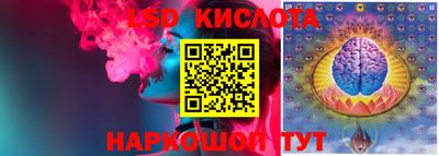 шишки Лесосибирск