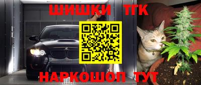 шишки Лесосибирск