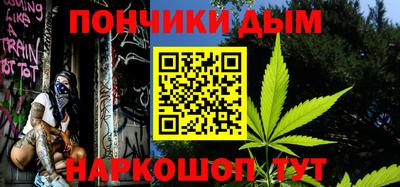 шишки Лесосибирск