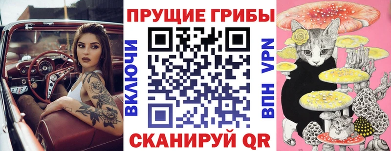 мега ссылка  shop наркотические препараты  Псилоцибиновые грибы MAGIC MUSHROOMS  Уфа 