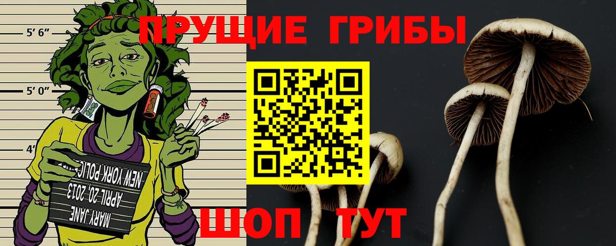 Уфа  Галлюциногенные грибы Psilocybe  Вход с VPN 